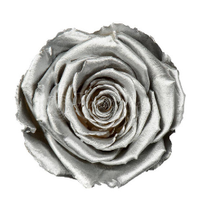 10-1, Rose amor, silber 245 x 245 px